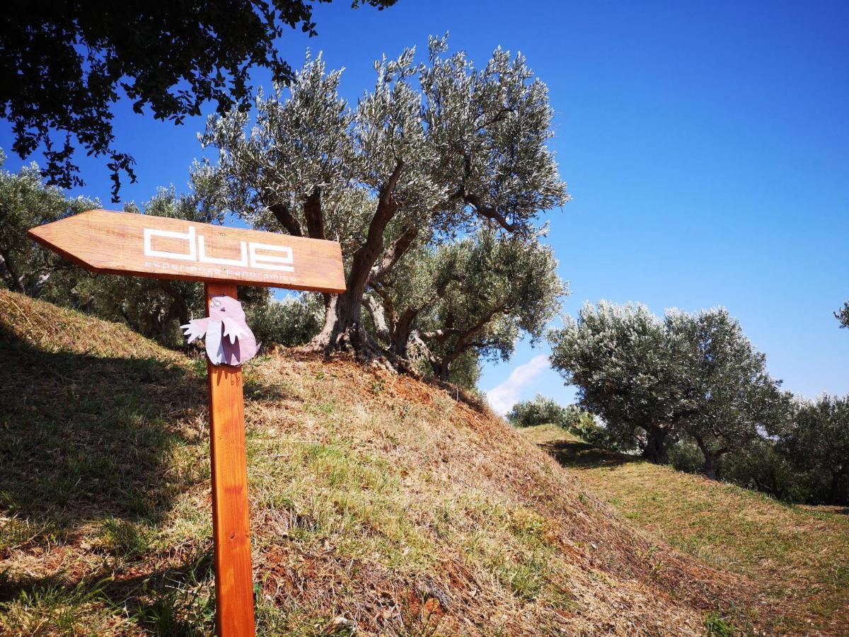 Due Esperienza Panoramica Villa Lamezia Terme Bagian luar foto